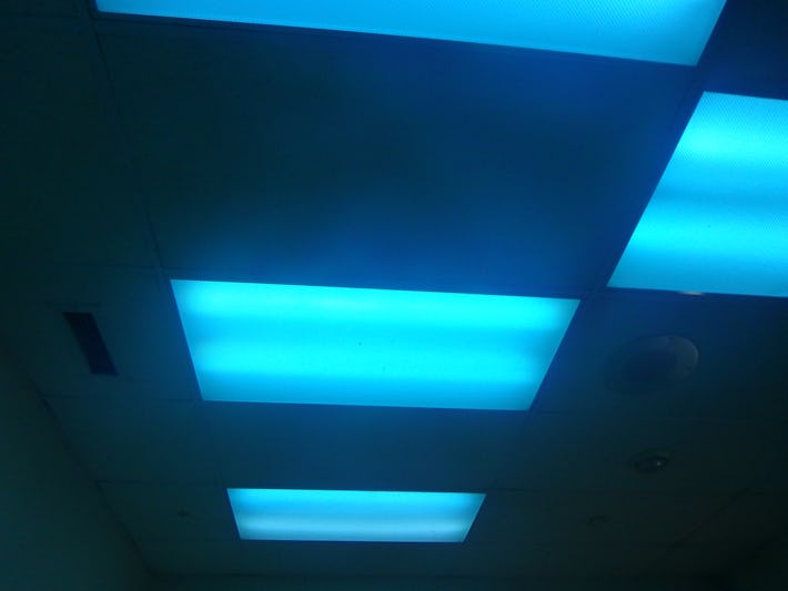 Blue Lights to Deter Drug Users From Using in Bathrooms Have Big Downsides