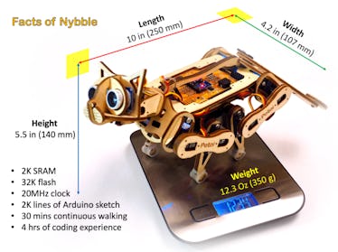 Meet Nybble Video Shows World s Fastest Robot Cat Learn Feline Tricks
