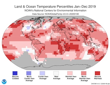 A map of the land and ocean temperature percentiles January-December 2019.