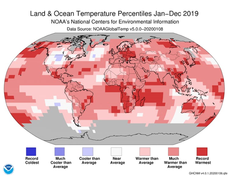 A map of the land and ocean temperature percentiles January-December 2019.