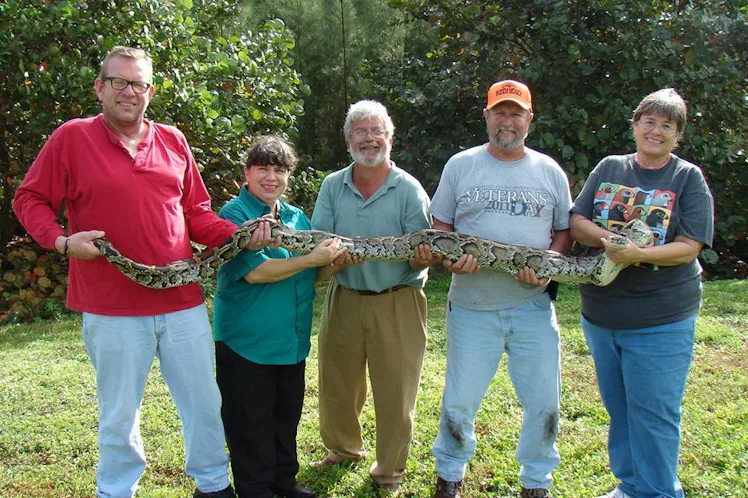 Python Challenge Nets 106 Invasive Snakes in Florida Everglades