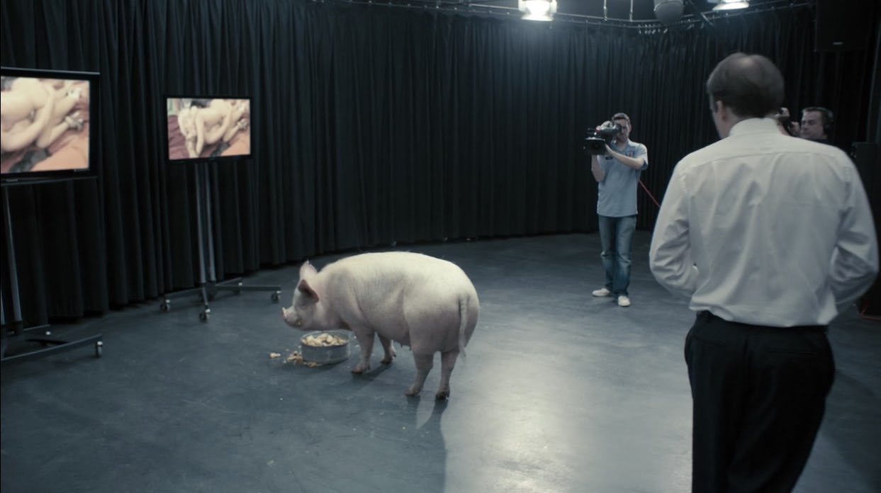 Pig Humiliation