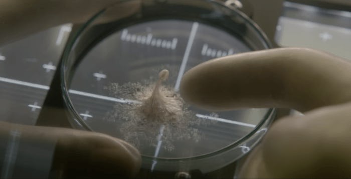 How the Alien Creature in 'Life' Defies the Laws of Physics