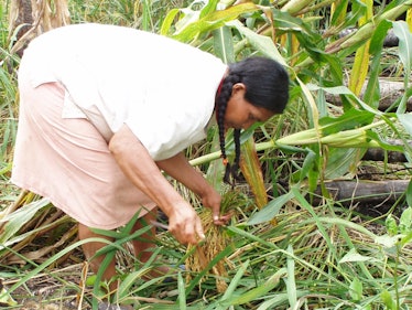 heart health diet tsimane amazon