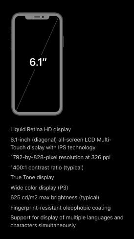 The Iphone Xr Might Have An Inferior Screen But You Won T Be Able To Tell The Iphone Xr Might Have An Inferior Screen But You Won T Be Able To Tell