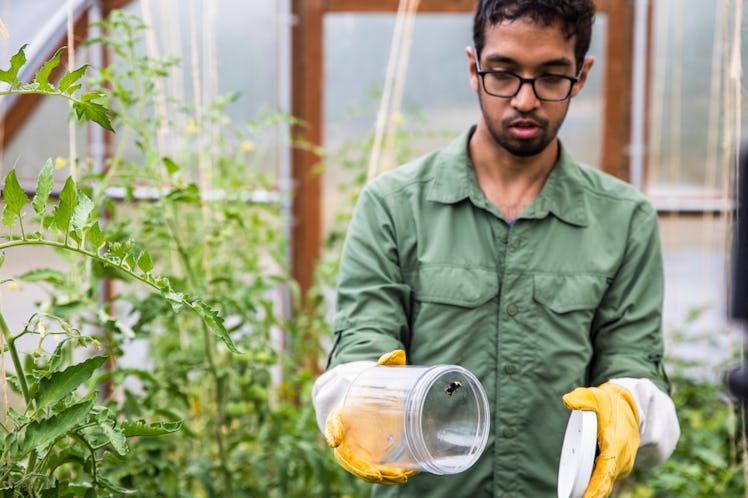 bee backpack farms