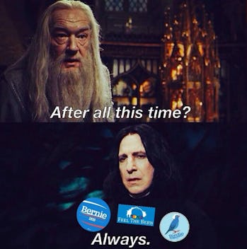 The Bernie Sanders Dank Meme Stash Is Dank Again After 2020 Announcement