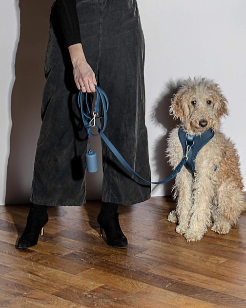 Make Walking Your Dog Easier With These Kits
