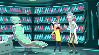 'Rick and Morty' "Morty's Mind Blowers"