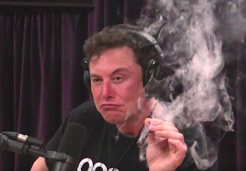 Elon Musk smoking weed on Joe Rogan's podcast/talk show on Thursday night.