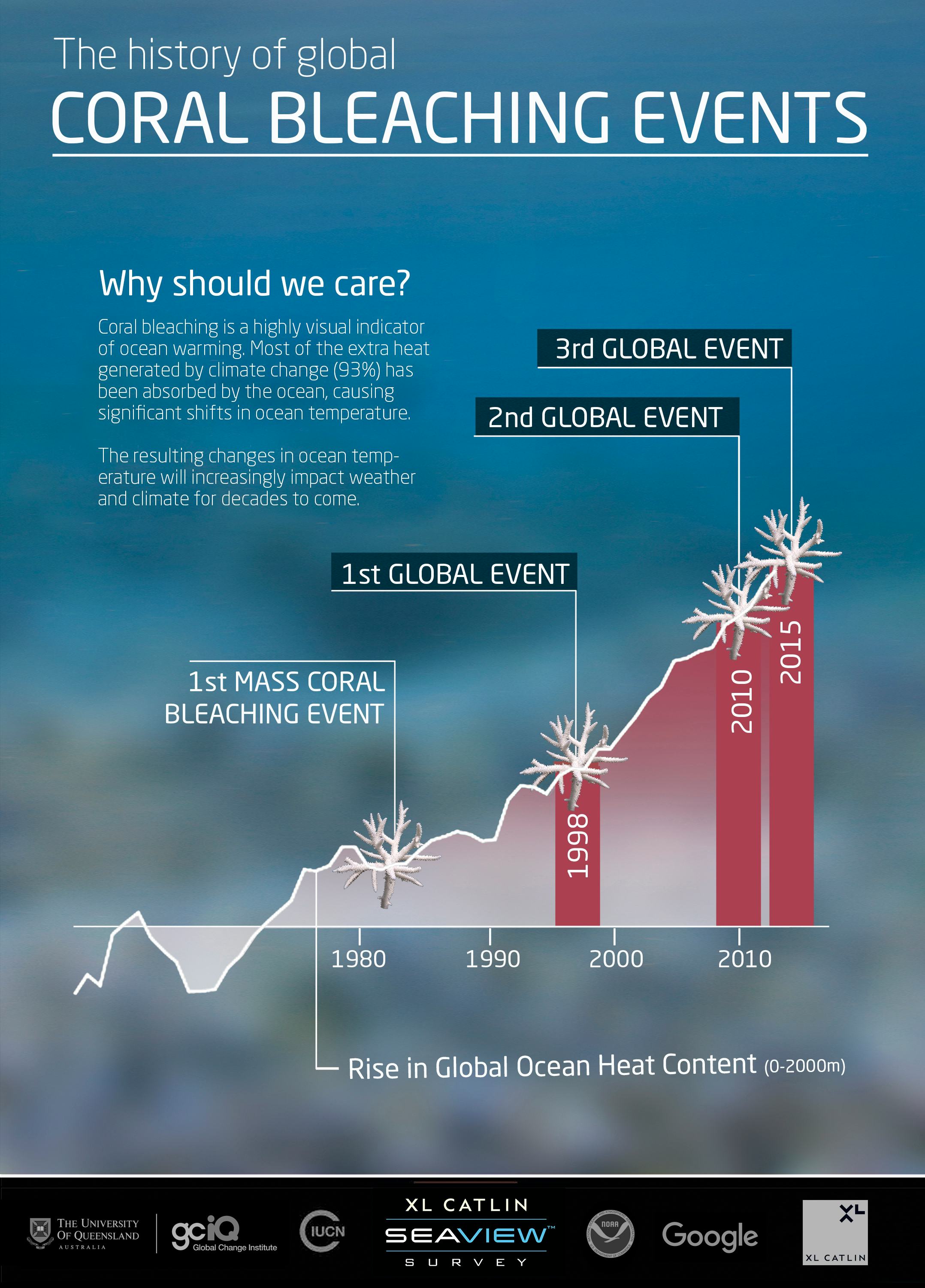 What Is Coral Bleaching? Some Reefs Glow Before They Die