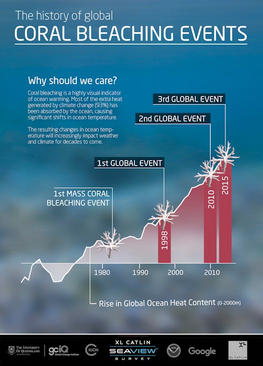 Infographic 2 © The Ocean Agency / XL Catlin Seaview Survey coral bleaching