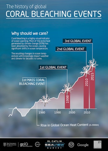 Infographic 2 © The Ocean Agency / XL Catlin Seaview Survey coral bleaching
