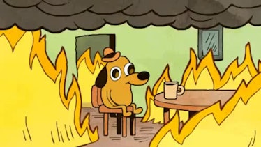 meme, dog, fire