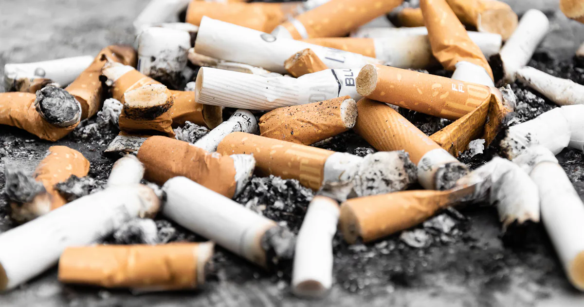 actress with cigarette holder 36 Long Cigarette Holders Stock Photos, High-Res Pictures, and Images