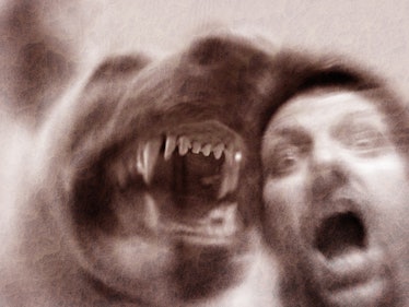 Blurred dog and man screaming