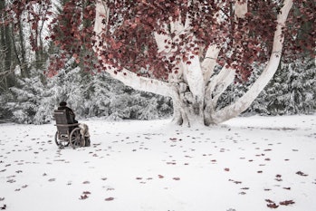 Bran at the tree where he will wait for the Night King.