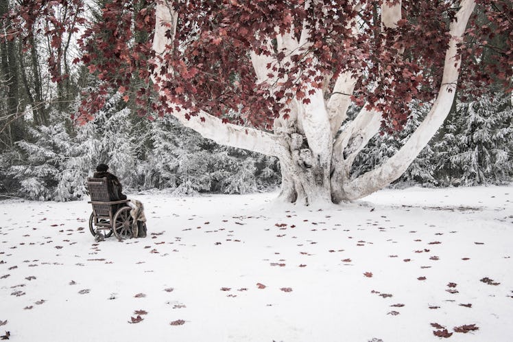 Bran at the tree where he will wait for the Night King.