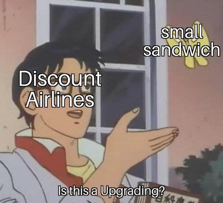 airline pigeon meme
