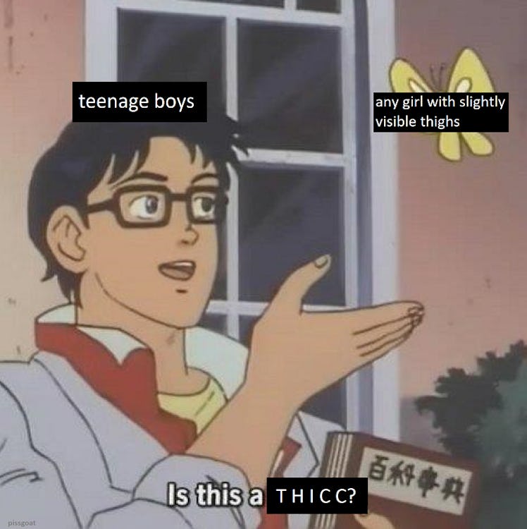 thicc pigeon meme
