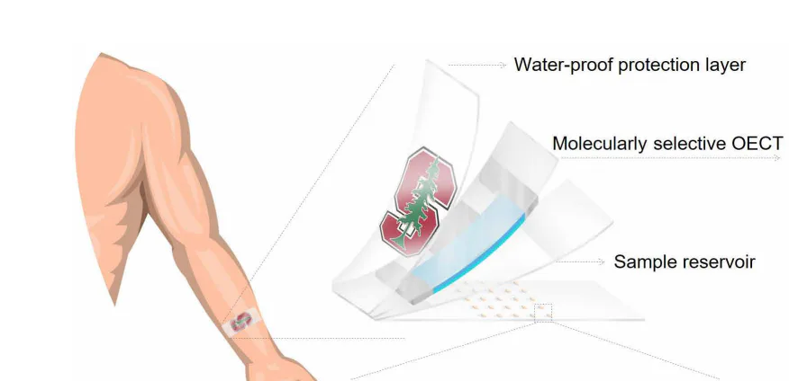 Stanford's New Wearable Measures Your Stress Level Through Your Sweat