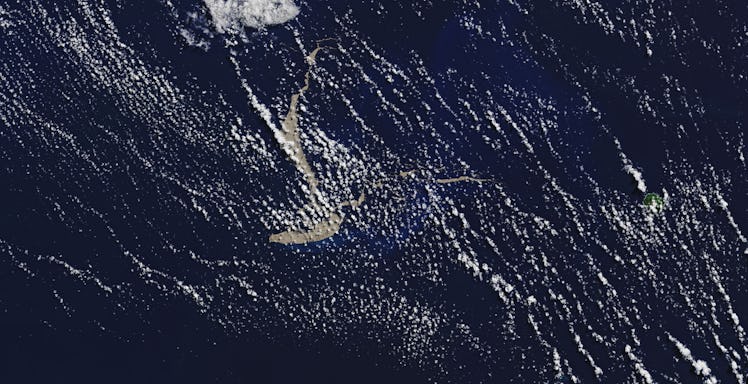 A Mass of Floating Pumice Rocks Could Help Save the Great Barrier Reef