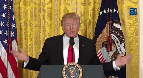 Why Donald Trump Does Impressions So Much