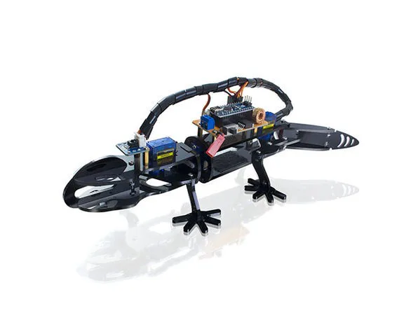 10 Science Gifts