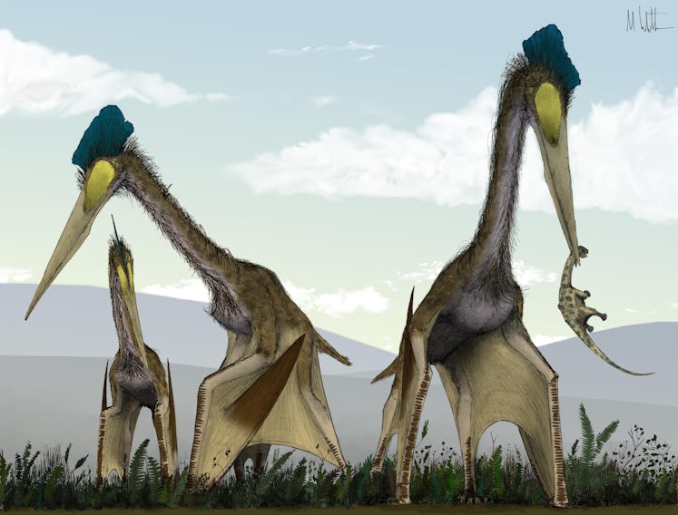 giant pterosaur ground stalking prey predator hunting
