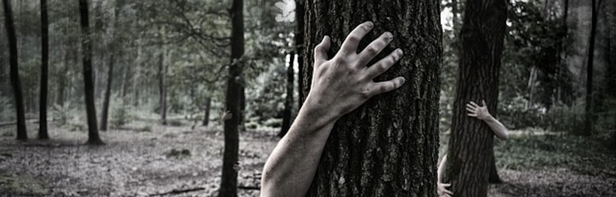 best low budget horror movies best low budget horror movies