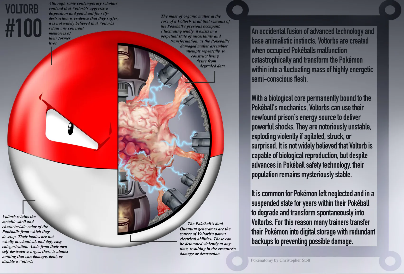anatomy of pokemon card Pokemon Unofficial Card Collectors Guide: Tom Searle: 9780785342922:  Amazon.com: Books