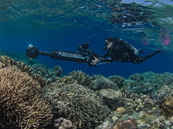 How Artificial Intelligence and 360-Cameras Are Helping to Save Coral Reefs