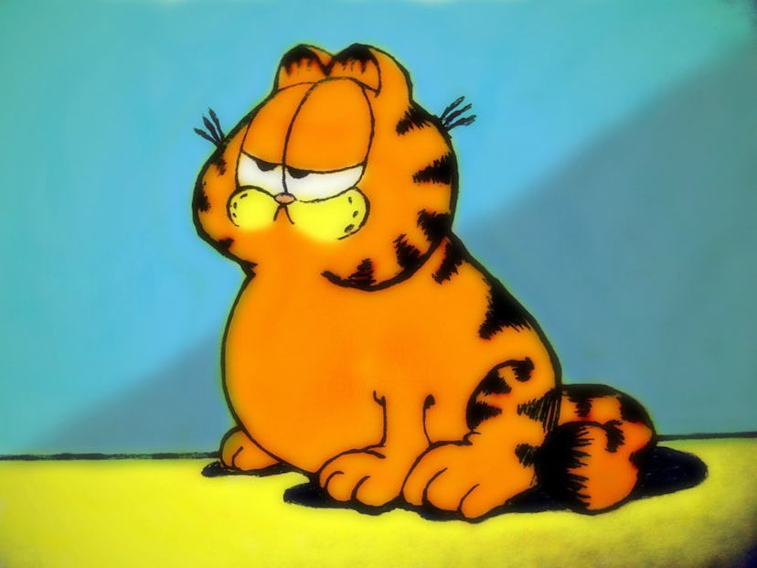 Science Figured Out Why Your Cat is Fat and Grumpy Like Garfield