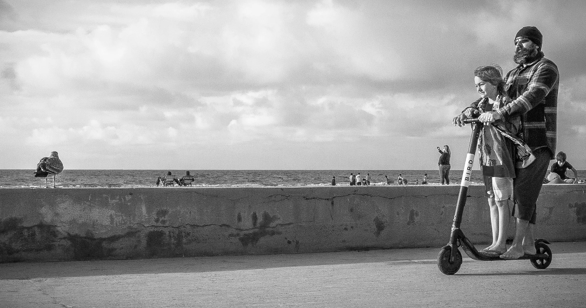 Study Reveals Electric Scooter Companies Encourage Risky Riding Behavior