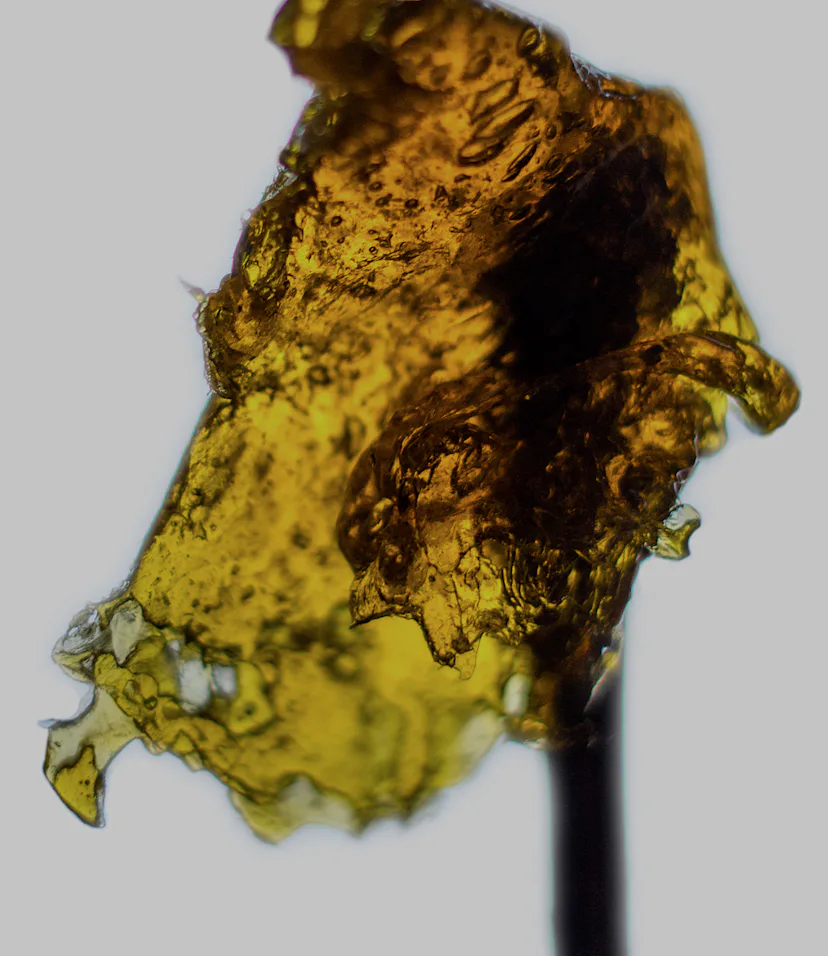 What Is Shatter Weed? The Chemistry of the Marijuana Concentrate