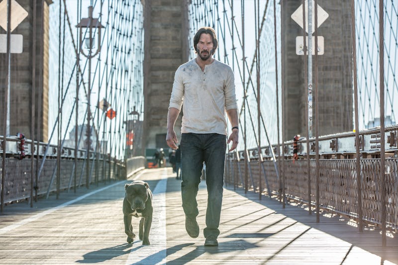 A screenshot with Keanu Reeves and a dog walking in John Wick: Chapter 3
