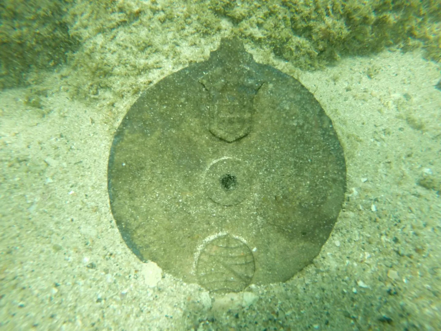 Mariner's Astrolabe Found in 15th-Century Shipwreck Breaks Records