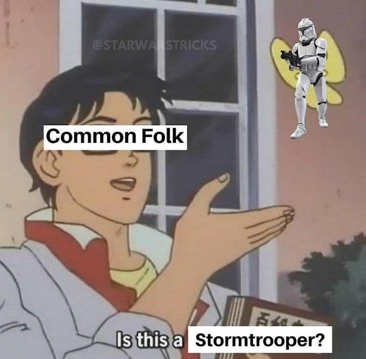 stormtooper piegon meme