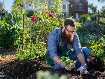 The Combined Urban &amp; Zen Gardening Mastery Bundle