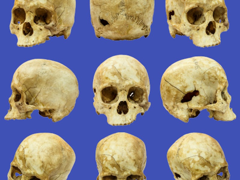 forensic anthropology research facility reviews