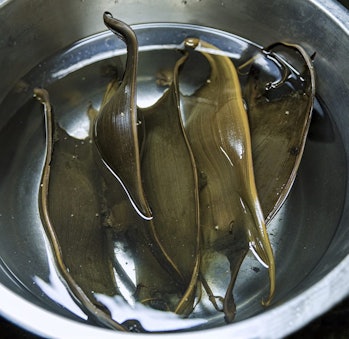 Researchers collected four egg cases to confirm the species.