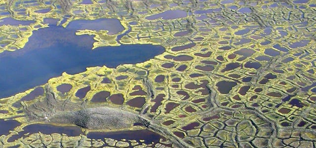 "Browning" Lakes Look Like Alien Landscape in Climate Change Study
