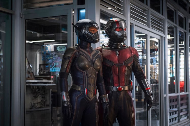 Ant-Man and the Wasp fully suited up.