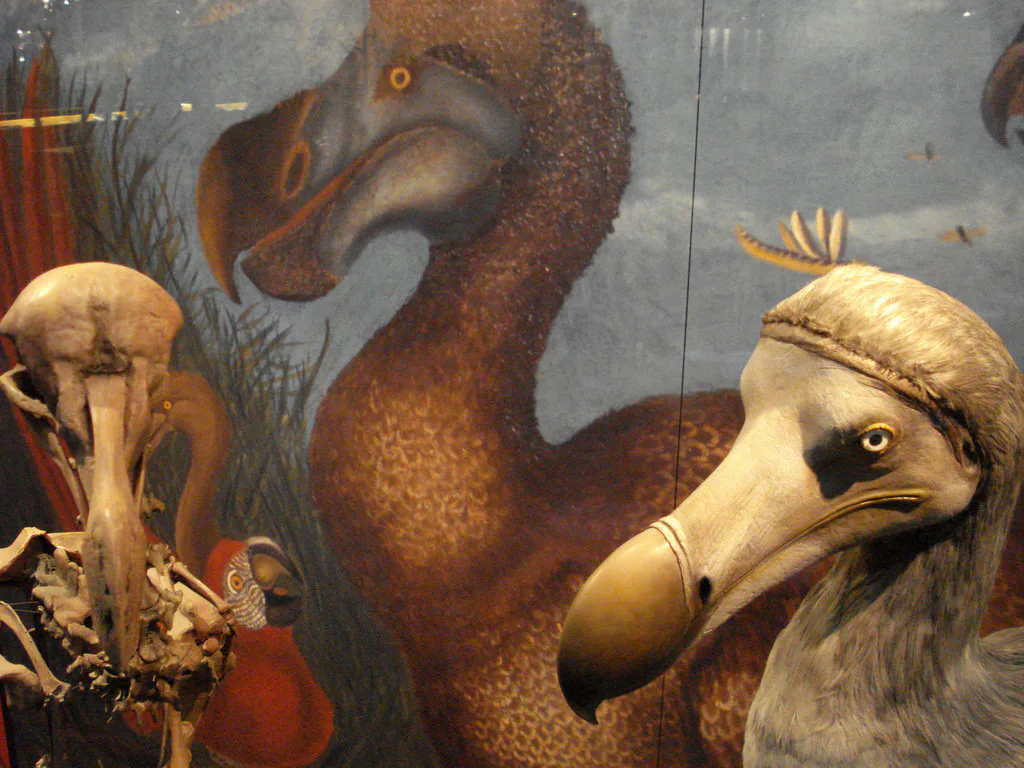 The Faces of Extinction on Endangered Species Day