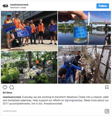 Newton Creek Instagram