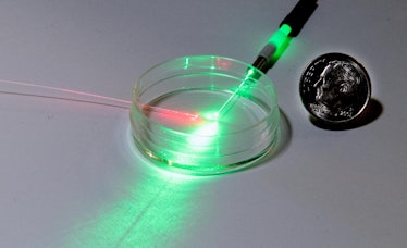 An empty petri dish with two optical fibers. Throw in some cabbage juice, and this is what the resea...