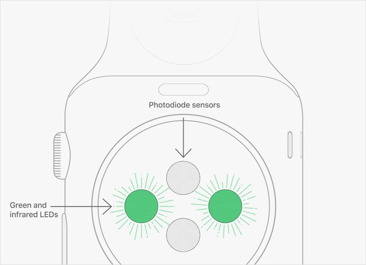 apple watch heart rate tracking system