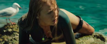 Steven Seagull Should Win An Oscar For The Shallows Découvrez ses meilleurs extraits de film. steven seagull should win an oscar for