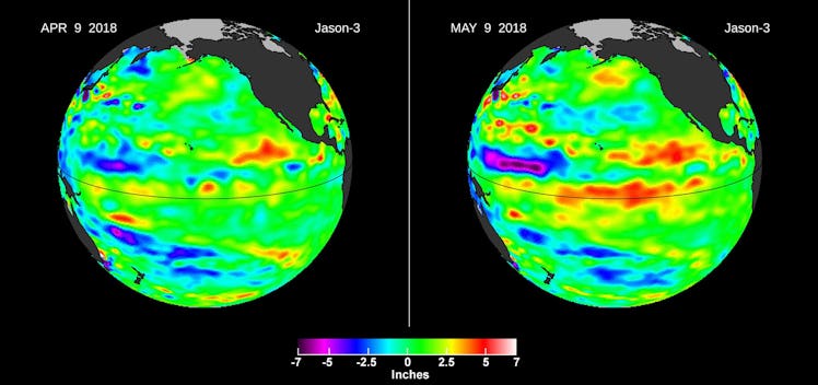 Left, in April, the Jason-3 satellite shows most of the Pacific Ocean at neutral heights (green). In...