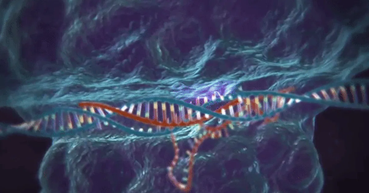 Salk Institute Geneticists Show How to Alter Diseased DNA